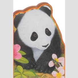 Ping le panda (la chine)