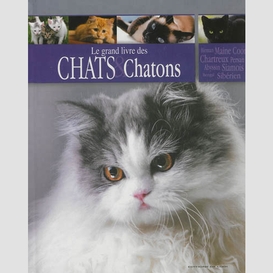 Chats et les chatons (les)