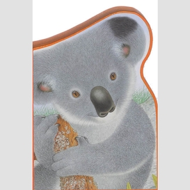 Polka le koala (l'australie)
