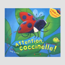 Attention coccinelle