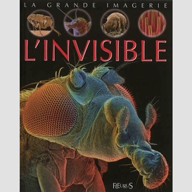 Invisible l'