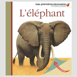 Elephant (l')