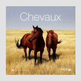 Chevaux