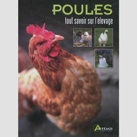 Poules tout savoir sur l elevage