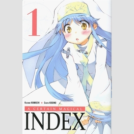 A certain magical index t01