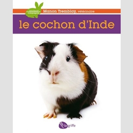 Le cochon d'inde