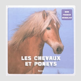 Chevaux et poneys (les)