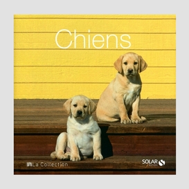 Chiens