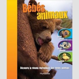 Bebes animaux