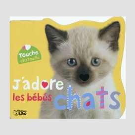 J'adore les bebes chats