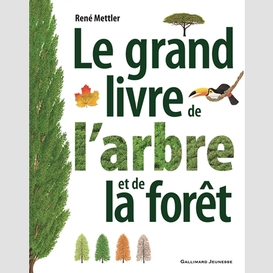 Grand livre de l'arbre et de la foret