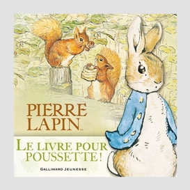 Livre pour poussette de pierre lapin