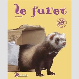 Furet (le)