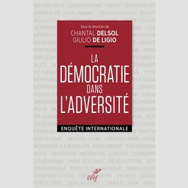 La democratie dans l'adversite