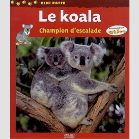 Koala  -champion d'escalade