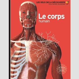 Corps humain (le)