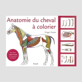 Anatomie du cheval a colorier