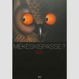 Mekeskispasse