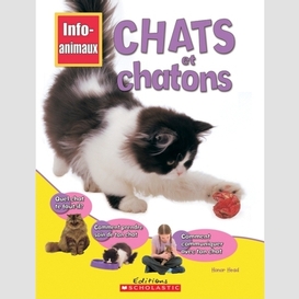 Chats et chatons