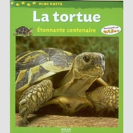 Tortue (la)