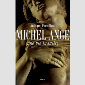 Michel-ange une vie inquiete