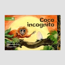 Coco incognito