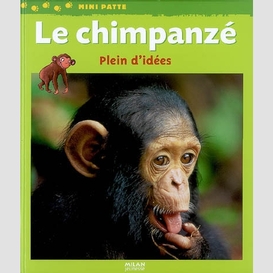 Chimpanze plein d'idees (le)