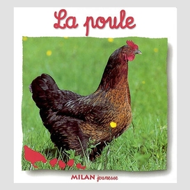 Poule (la)