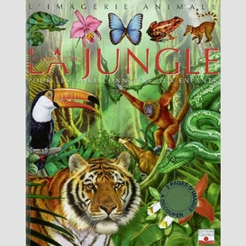 Animaux de la jungle (les)