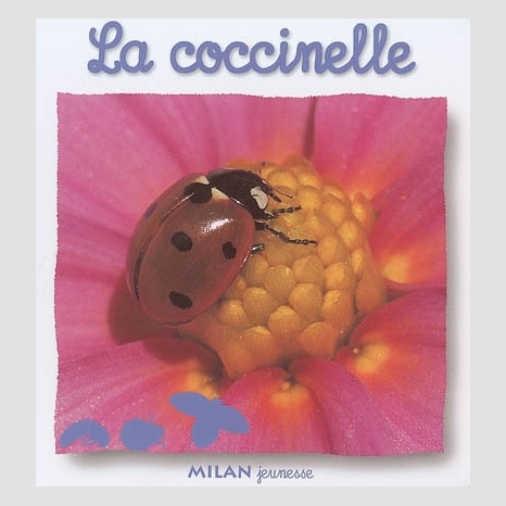 Coccinelle la Documentaire jeunesse Librairies Boyer