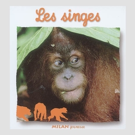 Singes (les)