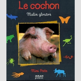 Cochon malin glouton (le)