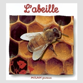 Abeille l'