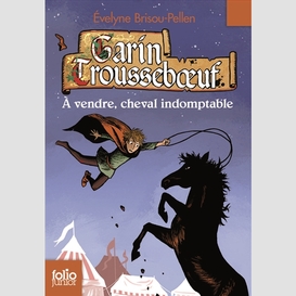 Garin trousseboeuf a vendre cheval indom
