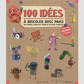 100 idees a bricoler avec pako