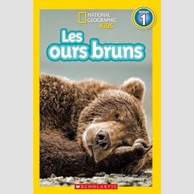 Ours bruns (l') (niveau 1)