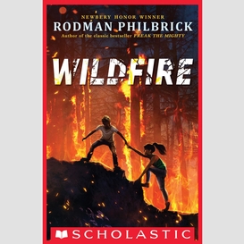 Wildfire (the wild series)