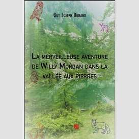 La merveilleuse aventure de willy morgan dans la vallée aux pierres