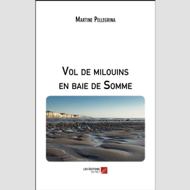 Vol de milouins en baie de somme