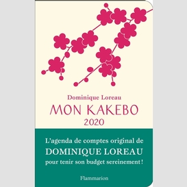 Mon kakebo 2020