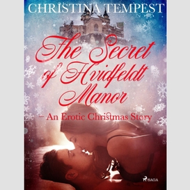 The secret of hvidfeldt manor - an erotic christmas story