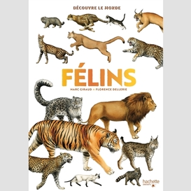 Felins