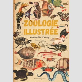 Zoologie illustree