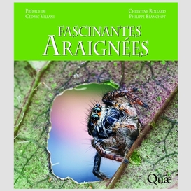 Fascinantes araignees