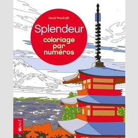 Splendeur - coloriage par numeros