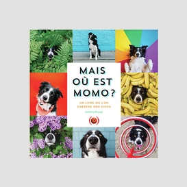 Mais ou est momo