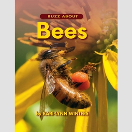 Buzz about bees