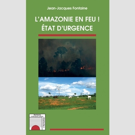 L'amazonie en feu !