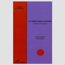 Le capital social en action