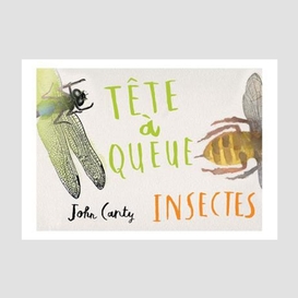 Tete a queue insectes